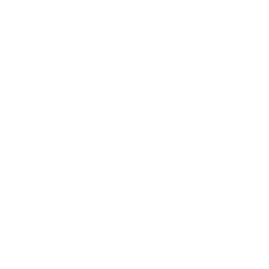 Logo Dinx białe
